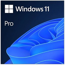 Windows 11